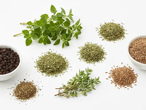 bylinky a koření k houbám