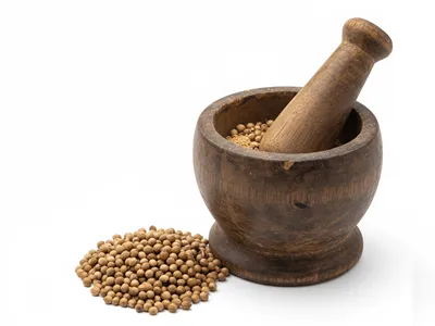 Koriandr celý v hmoždíři.