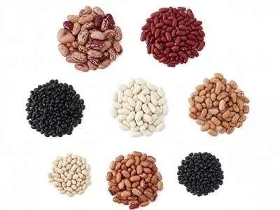 Různé druhy fazolí.