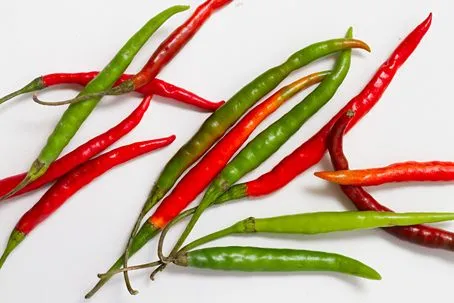 Jalapeňo