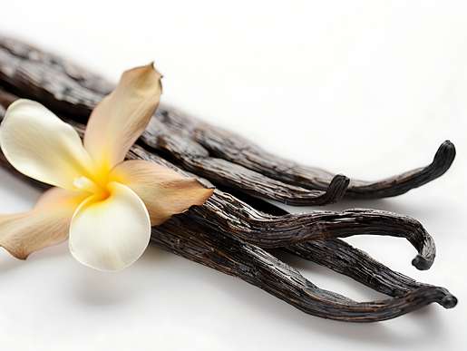 vanilkovy_lusk_s_kvetem