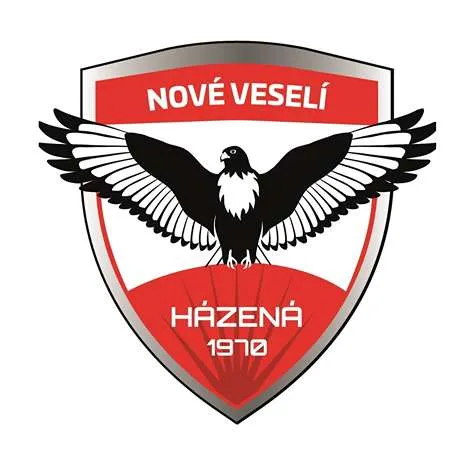 Házená Nové Veselí