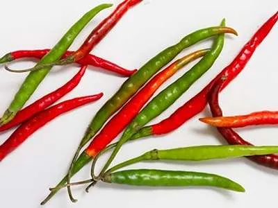 Chilli papričky Jalapeňo červené i zelené.