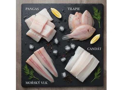 Filety ryb vhodné na rybí polévku – pangas, tilapie, mořský vlk a candát.